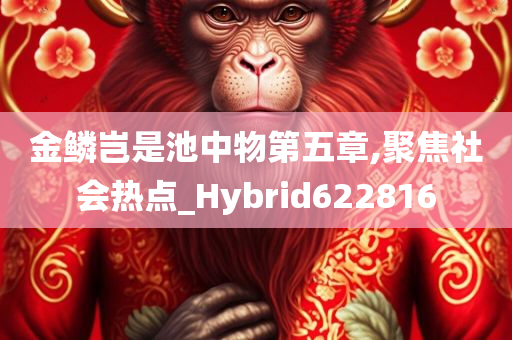 金鳞岂是池中物第五章,聚焦社会热点_Hybrid622816