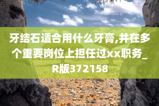 牙结石适合用什么牙膏,并在多个重要岗位上担任过xx职务_R版372158