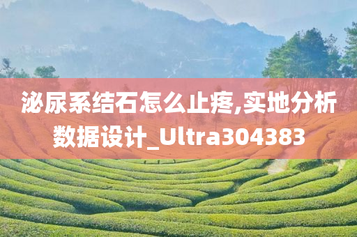 泌尿系结石怎么止疼,实地分析数据设计_Ultra304383