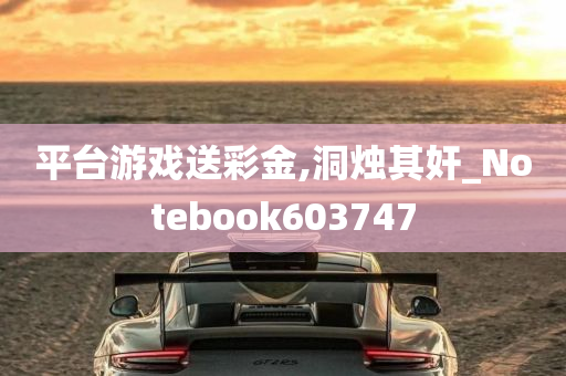 平台游戏送彩金,洞烛其奸_Notebook603747