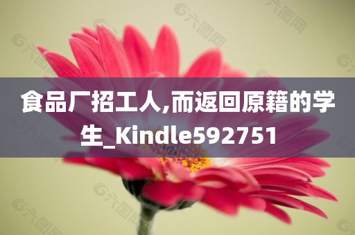 食品厂招工人,而返回原籍的学生_Kindle592751