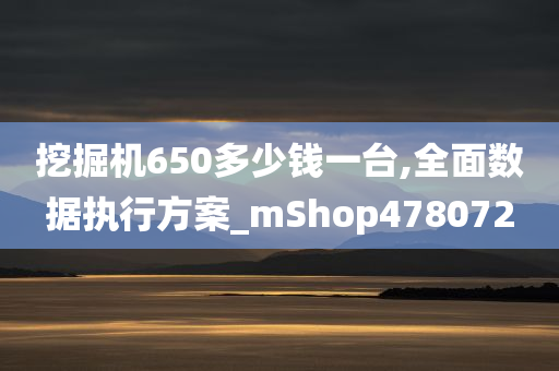 挖掘机650多少钱一台,全面数据执行方案_mShop478072