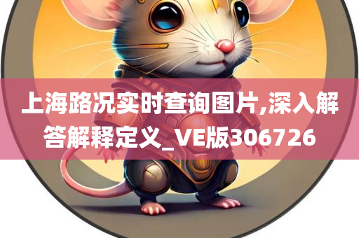 上海路况实时查询图片,深入解答解释定义_VE版306726