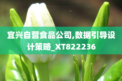 宜兴自营食品公司,数据引导设计策略_XT822236