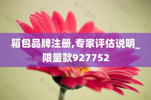 箱包品牌注册,专家评估说明_限量款927752