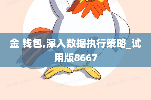 金 钱包,深入数据执行策略_试用版8667