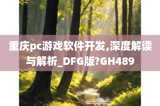 重庆pc游戏软件开发,深度解读与解析_DFG版?GH489