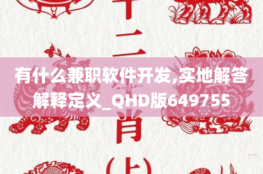 有什么兼职软件开发,实地解答解释定义_QHD版649755