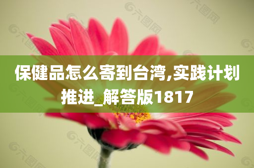 保健品怎么寄到台湾,实践计划推进_解答版1817