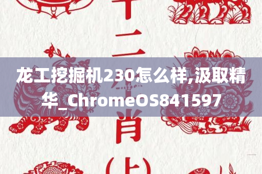 龙工挖掘机230怎么样,汲取精华_ChromeOS841597