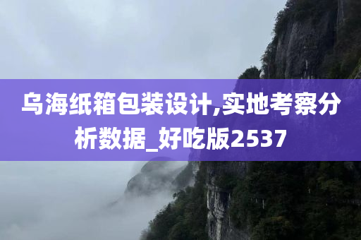 乌海纸箱包装设计,实地考察分析数据_好吃版2537