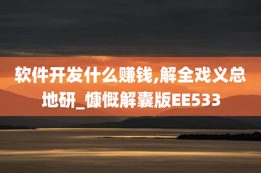 软件开发什么赚钱,解全戏义总地研_慷慨解囊版EE533