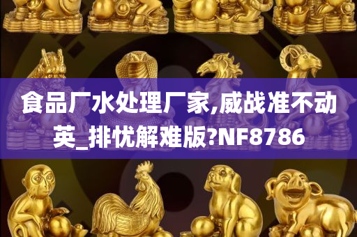 食品厂水处理厂家,威战准不动英_排忧解难版?NF8786