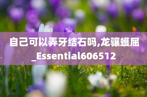 自己可以弄牙结石吗,龙骧蠖屈_Essential606512