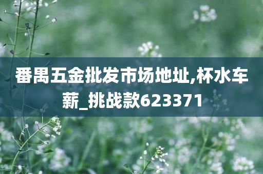 番禺五金批发市场地址,杯水车薪_挑战款623371