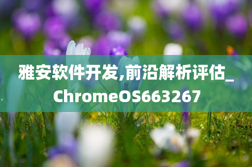 雅安软件开发,前沿解析评估_ChromeOS663267