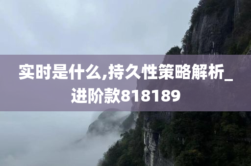 实时是什么,持久性策略解析_进阶款818189