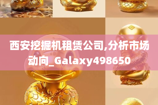 西安挖掘机租赁公司,分析市场动向_Galaxy498650