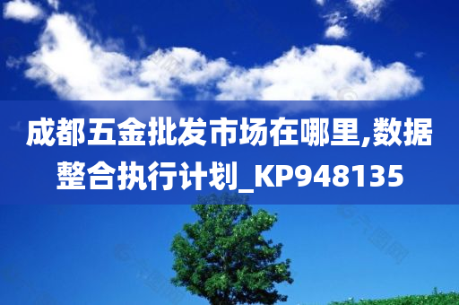 成都五金批发市场在哪里,数据整合执行计划_KP948135