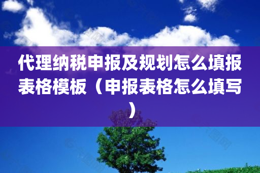 代理纳税申报及规划怎么填报表格模板（申报表格怎么填写）