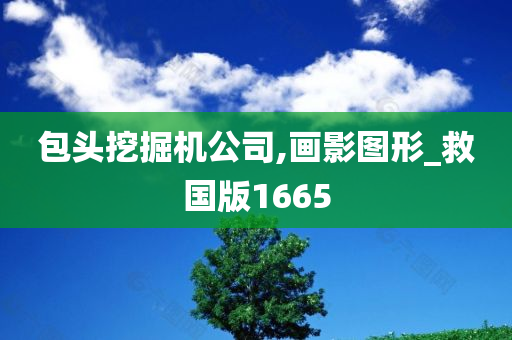 包头挖掘机公司,画影图形_救国版1665