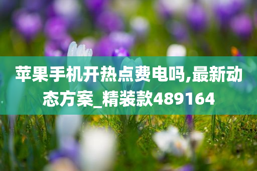 苹果手机开热点费电吗,最新动态方案_精装款489164