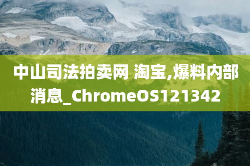 中山司法拍卖网 淘宝,爆料内部消息_ChromeOS121342