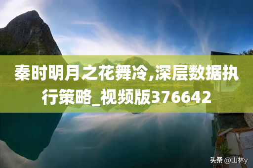 秦时明月之花舞冷,深层数据执行策略_视频版376642