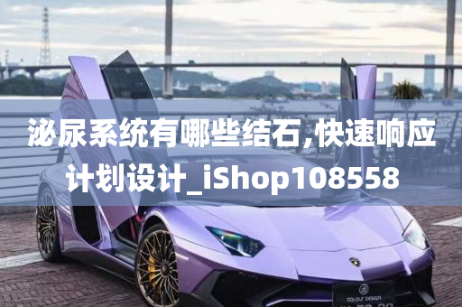 泌尿系统有哪些结石,快速响应计划设计_iShop108558