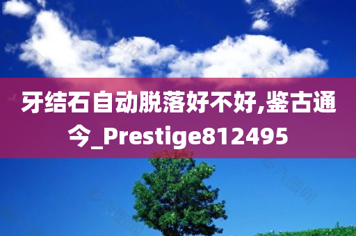 牙结石自动脱落好不好,鉴古通今_Prestige812495