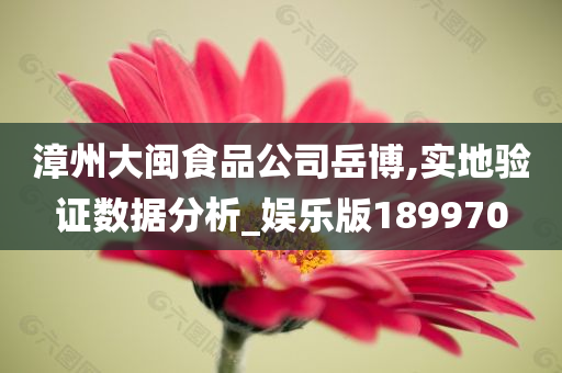 漳州大闽食品公司岳博,实地验证数据分析_娱乐版189970