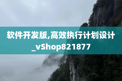 软件开发版,高效执行计划设计_vShop821877