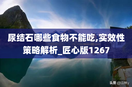 尿结石哪些食物不能吃,实效性策略解析_匠心版1267