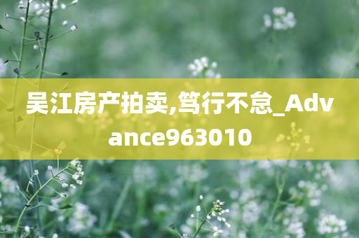 吴江房产拍卖,笃行不怠_Advance963010