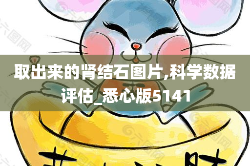 取出来的肾结石图片,科学数据评估_悉心版5141