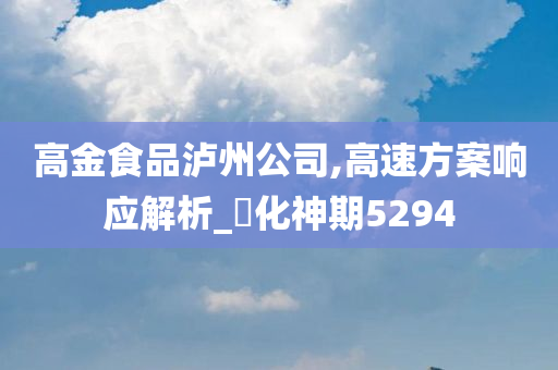 高金食品泸州公司,高速方案响应解析_‌化神期5294