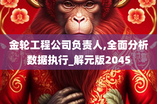 金轮工程公司负责人,全面分析数据执行_解元版2045