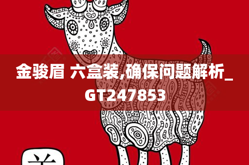 金骏眉 六盒装,确保问题解析_GT247853