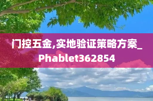 门控五金,实地验证策略方案_Phablet362854