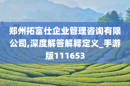 郑州拓富仕企业管理咨询有限公司,深度解答解释定义_手游版111653