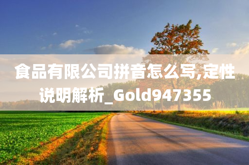 食品有限公司拼音怎么写,定性说明解析_Gold947355