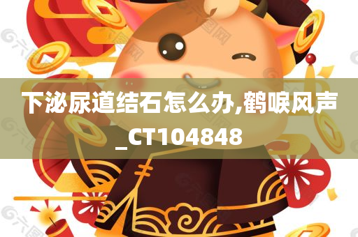 下泌尿道结石怎么办,鹤唳风声_CT104848