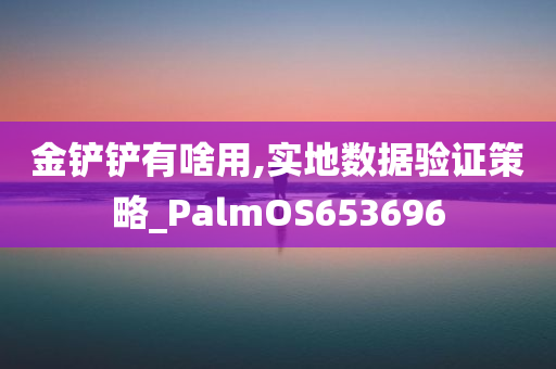 金铲铲有啥用,实地数据验证策略_PalmOS653696