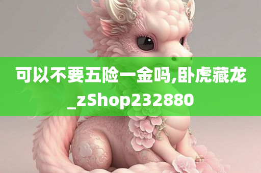 可以不要五险一金吗,卧虎藏龙_zShop232880