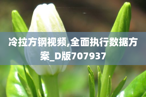 冷拉方钢视频,全面执行数据方案_D版707937