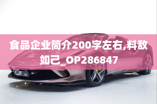 食品企业简介200字左右,料敌如己_OP286847