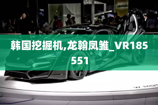 韩国挖掘机,龙翰凤雏_VR185551