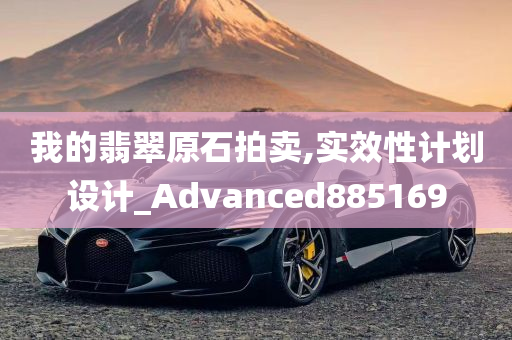 我的翡翠原石拍卖,实效性计划设计_Advanced885169