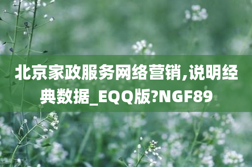 北京家政服务网络营销,说明经典数据_EQQ版?NGF89