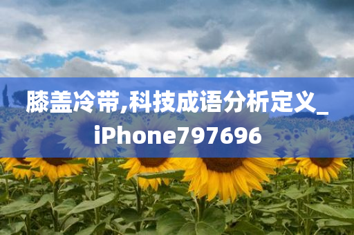 膝盖冷带,科技成语分析定义_iPhone797696